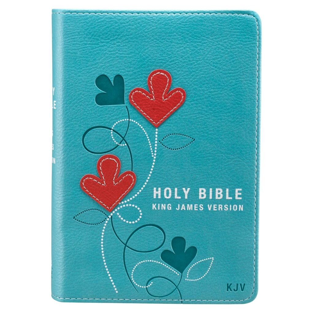 Bible - Aqua and Red Faux Leather KJV