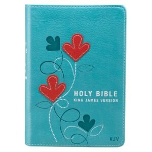 Bible - Aqua and Red Faux Leather KJV