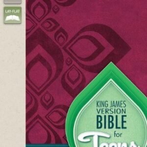 Bible - Red Imitation Leather, Teens KJV