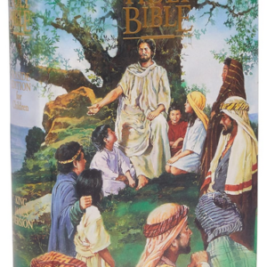 Bible - Kids Illustrated KJV