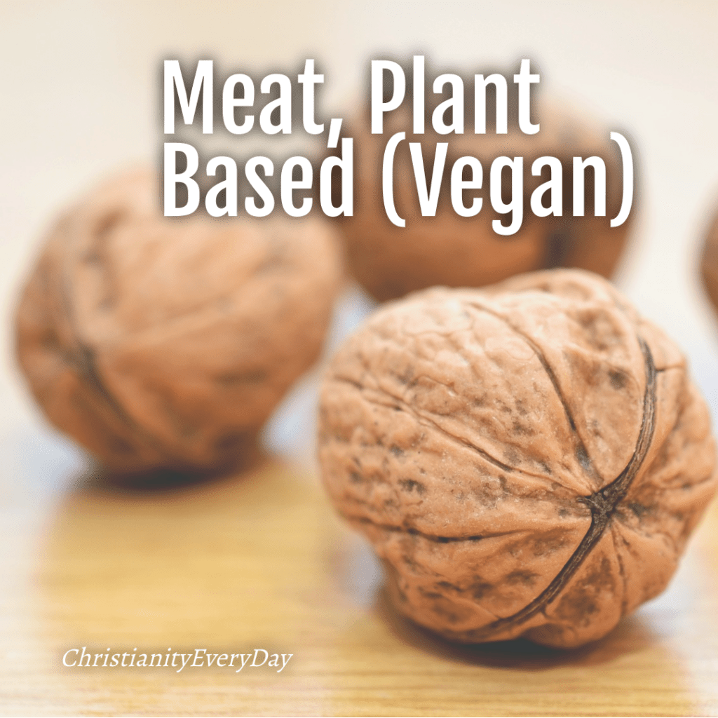 Meat, Plant Based (Vegan)