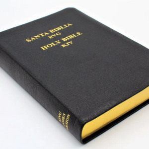 Bible - Spanish and English: Reina-Valera Gomez 2010 Bilingual Bible Softcover