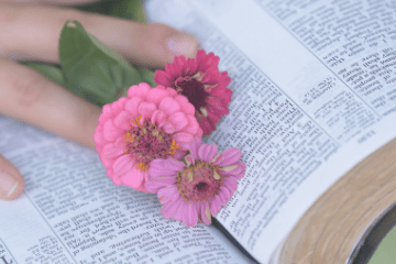 image of Bible with pink flowers