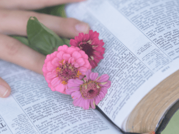 image of Bible with pink flowers