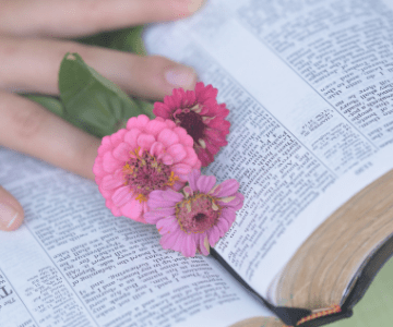 image of Bible with pink flowers