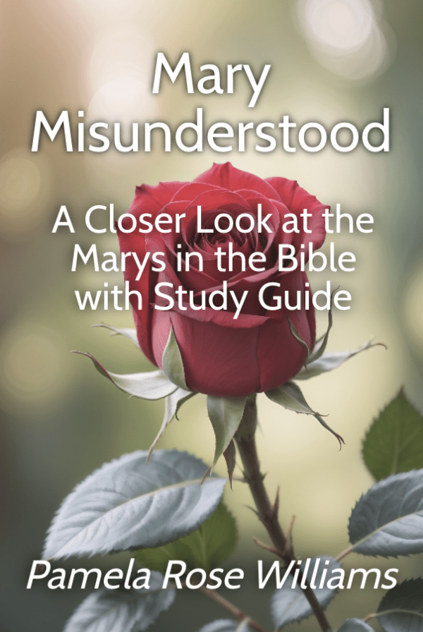 Mary Misunderstood: A Closer Look at the Marys in the Bible with Study Guide - Kindle