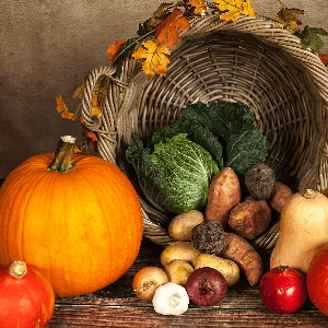 Rejoicing and Thankful