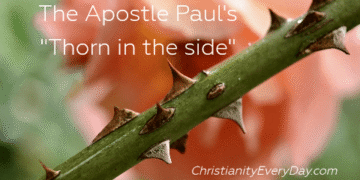 Thorn-in-the-Side