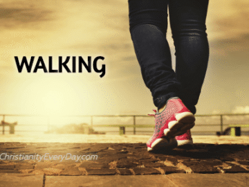 Walking in the Way